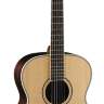 CORT PW-520 NAT W_BAG Акустическая гитара 