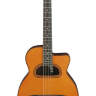 ARIA MM-10 Акустическая гитара