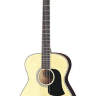ARIA AFN-15 N Акустическая гитара