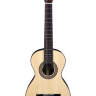 ARIA A19C-100N Классическая гитара