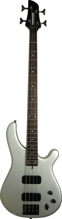 FERNANDES FRB50FS Бас-гитара, 24 лада, H/H, Flat Silver Satin