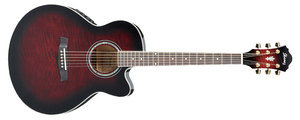 IBANEZ AEL20E TCS Электроакустическая гитара