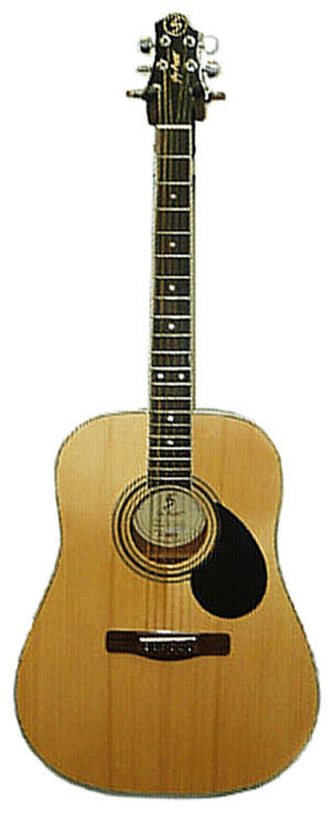 GREG BENNETT GD100S Акустическая гитара