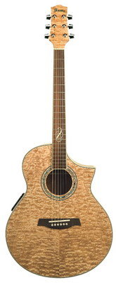 IBANEZ EW20ASE NT Электроакустическая гитара