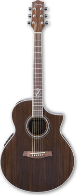 IBANEZ EW20WNE NT Электроакустическая гитара