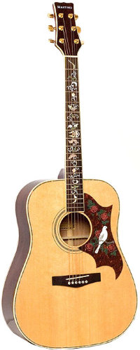 MARTINEZ FAW815 Акустическая гитара