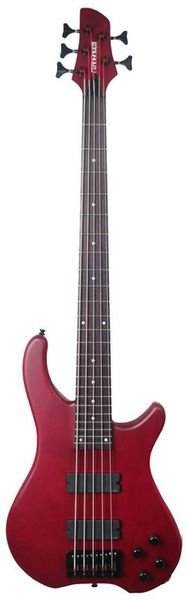 FERNANDES T5D(06)WRS Бас-гитара