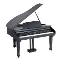 ORLA Grand 450 Black цифровой рояль