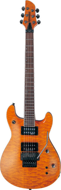 FERNANDES APG85S TGL Электрогитара