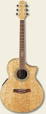 IBANEZ EWC30ASE RESONANT NATURAL LOW GLOSS Акустическая гитара