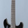 guitar_fernandes_dfs_08_blk_norm.jpg