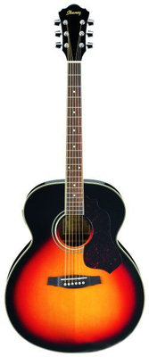 IBANEZ SGT130E VINTAGE SUNBURST Акустическая гитара
