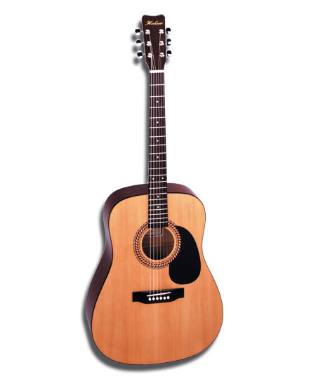 Hohner shop guitar hw220