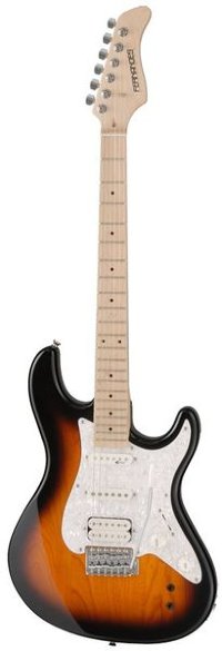 FERNANDES NATIVE PRO 05 3SB Электрогитара