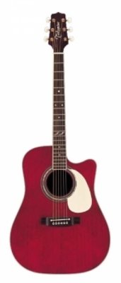 TAKAMINE JJ325SRC-12 12-струнная электроакустическая гитара