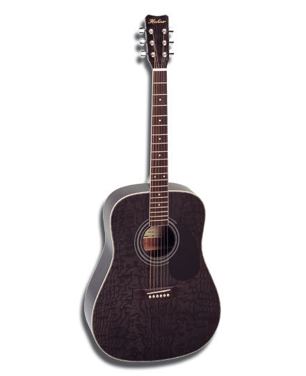 HOHNER HW300 Transparent Black Акустическая гитара