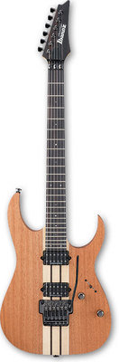 IBANEZ RGT220H SOL Электрогитара