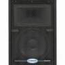 SAMSON RS10 HD Пассивная акустическая система 