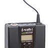 PROAUDIO WS-810PT Радиосистема
