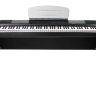 KURZWEIL MPS20 Цифровое пианино 
