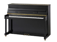 PEARL RIVER EU110 Пианино