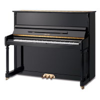 RITMULLER UP-125 R A2B1 Пианино