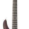 SCHECTER OMEN-5 WSN Бас-гитара