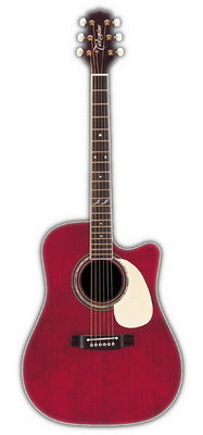 TAKAMINE JJ325SRC Электроакустическая гитара