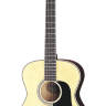 ARIA AF-20 N Акустическая гитара