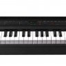 KURZWEIL MPS20F Цифровое пианино