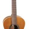 PEREZ 620 Cedar Классическая гитара