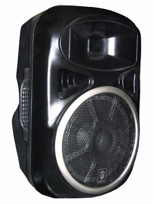 SOUNDKING PS115SA Активный сабвуфер