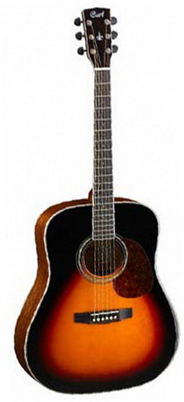 Cort earth outlet 200 acoustic guitar