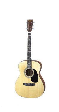 ARIA AF-25 N Акустическая гитара