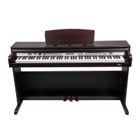 MEDELI DP263 Цифровое пианино
