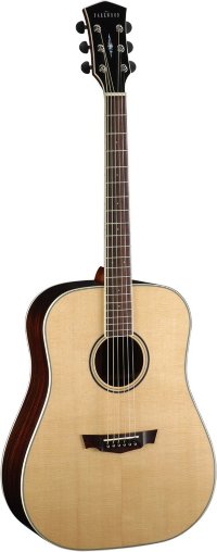 CORT PW-320M NS W_BAG  Акустическая гитара